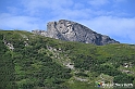 VBS_1 -  Plateau du Mont-Cenise, Grand Croix, Marmotte_-_0107 mt